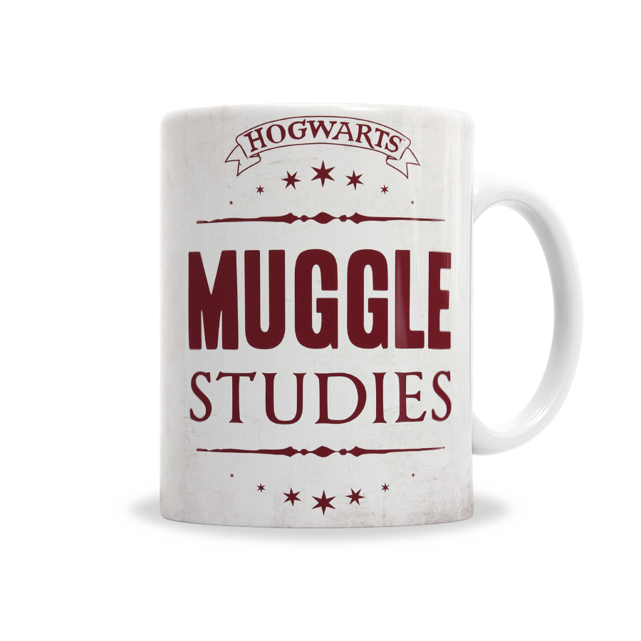 harrypotter-muggle-studies